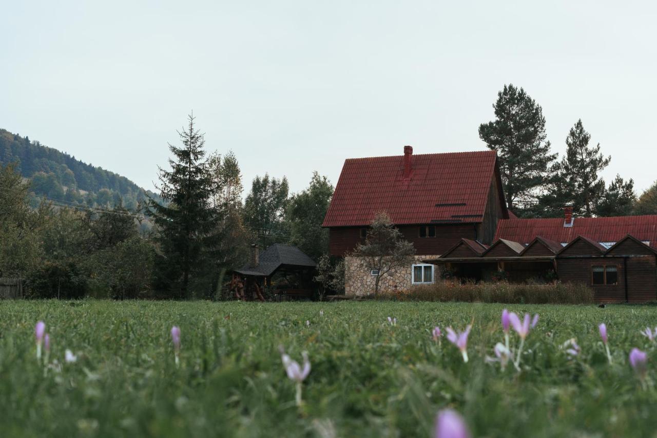 Pensiunea Poiana De Vis Sucevita Bagian luar foto