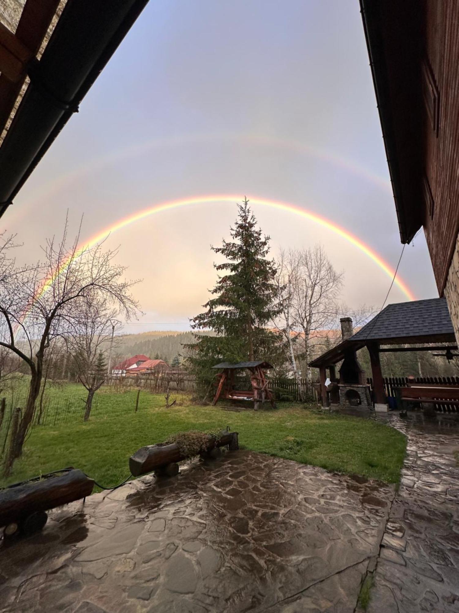 Pensiunea Poiana De Vis Sucevita Bagian luar foto