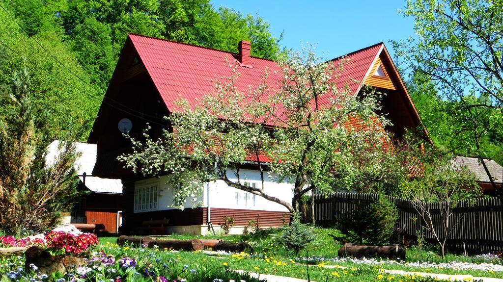 Pensiunea Poiana De Vis Sucevita Bagian luar foto