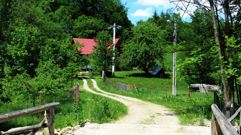 Pensiunea Poiana De Vis Sucevita Bagian luar foto