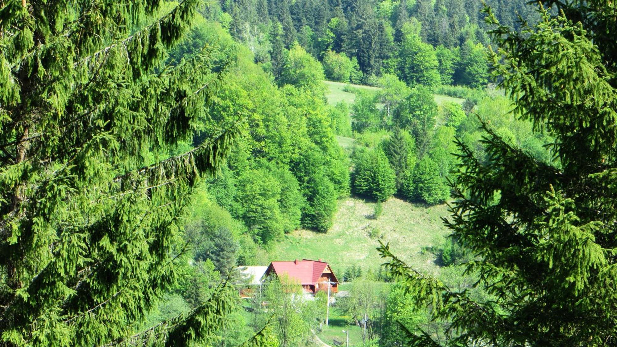 Pensiunea Poiana De Vis Sucevita Bagian luar foto