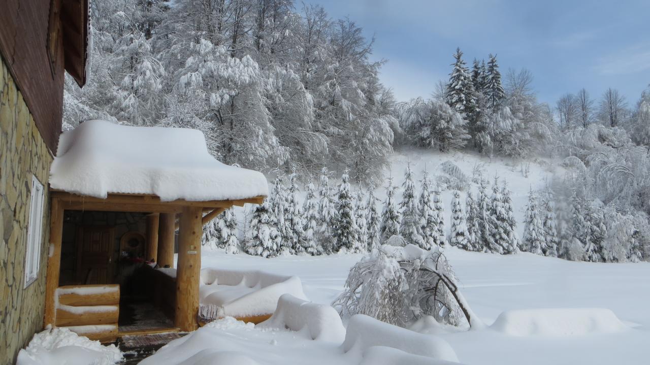 Pensiunea Poiana De Vis Sucevita Bagian luar foto