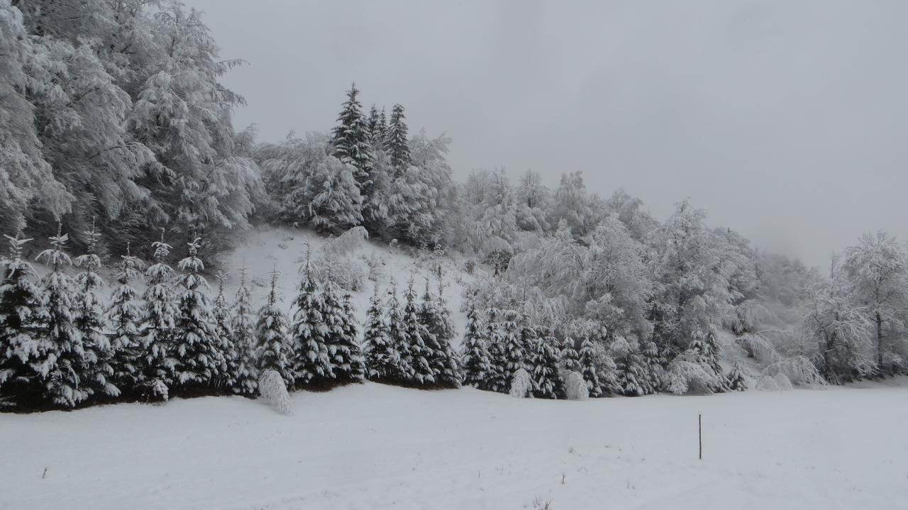 Pensiunea Poiana De Vis Sucevita Bagian luar foto