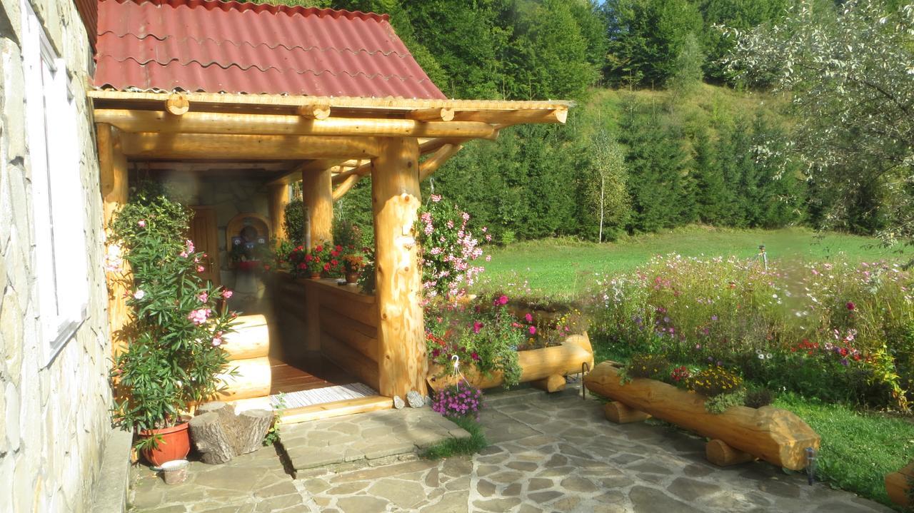 Pensiunea Poiana De Vis Sucevita Bagian luar foto